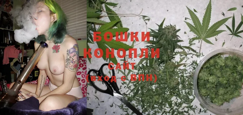 Шишки марихуана White Widow  где можно купить   Куса 